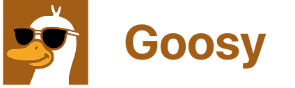 Goosy Program Turn your raw code into reliable, production-ready code | Goosy